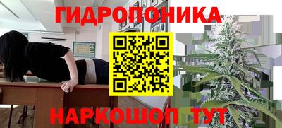 мяу мяу мука Комсомольск-на-Амуре