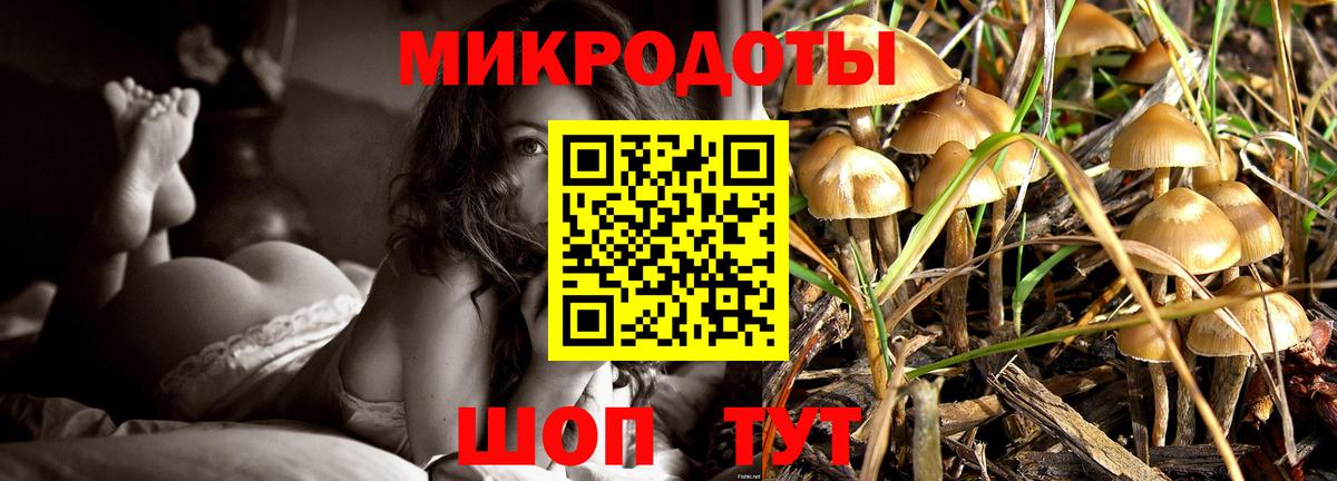 Псилоцибиновые грибы Cubensis Кизилюрт
