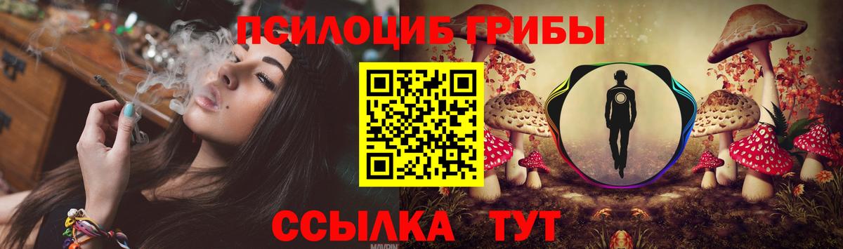 Кизилюрт  закладка  Вход с VPN  Галлюциногенные грибы Cubensis 