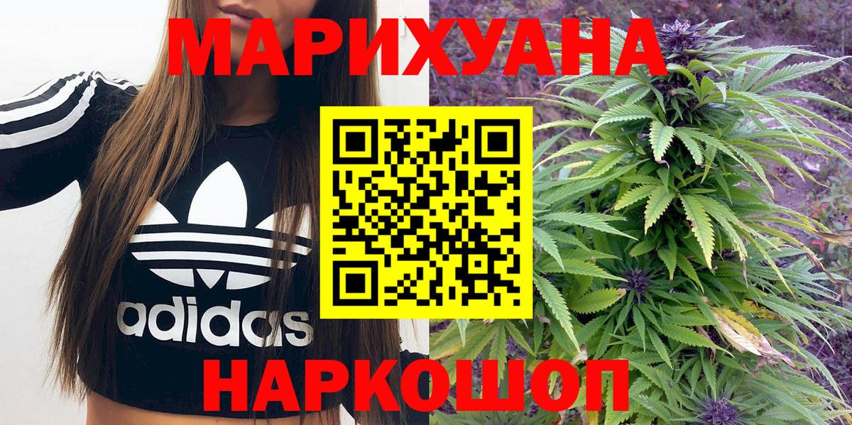 Шишки марихуана планчик  Канабис Ganja  Марихуана планчик  Вход с VPN  Кизилюрт 